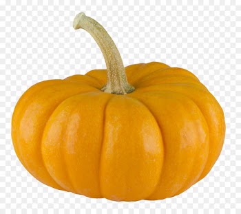 Pumpkin pie Calabaza - Pumpkin 