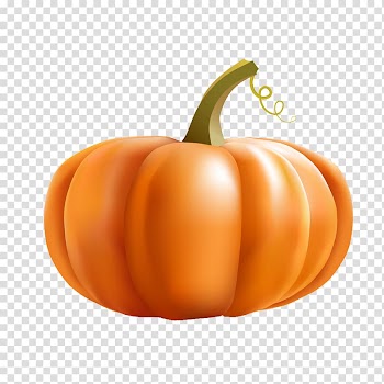 Pumpkin pie Calabaza Winter squash, pumpkin transparent background PNG clipart