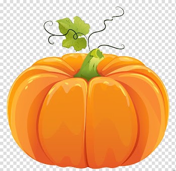 Pumpkin pie Cucurbita pepo Calabaza , pumpkin transparent background PNG clipart
