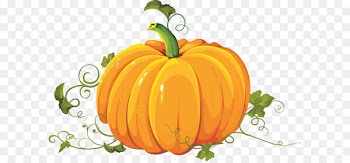 Pumpkin pie Cucurbita pepo Clip art - Pumpkin PNG image 