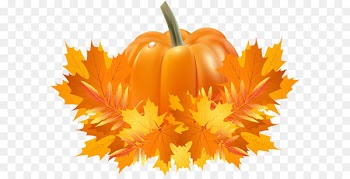Pumpkin pie Cucurbita pepo Cucurbita argyrosperma Crookneck pumpkin - Fall Leaves and Pumpkin Decoration PNG Clip Art 