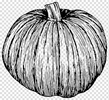 Pumpkin pie Cucurbita Squash soup , pumpkin transparent background PNG clipart