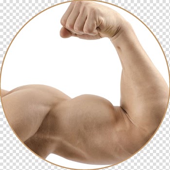 Pumpkin pie Denny's Tumblr Muscle, muscle transparent background PNG clipart