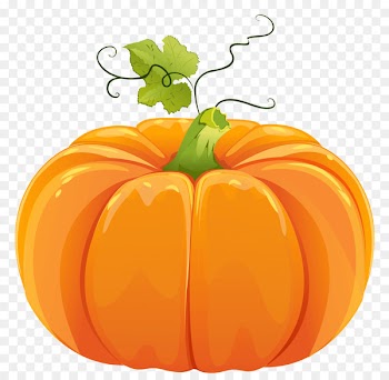 Pumpkin pie Field pumpkin Cucurbita maxima Jack-o'-lantern - pumpkin 