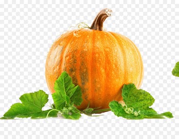 Pumpkin pie Health Pumpkin seed Nutrition - Yellow pumpkin vine leaves the physical map 