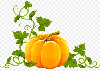Pumpkin pie Jack-o-lantern Clip art - pumpkin 