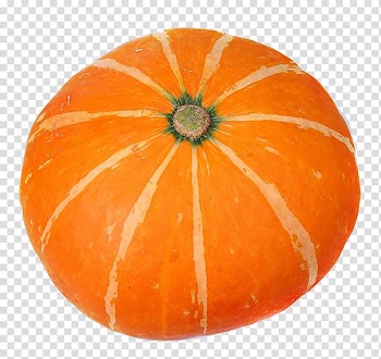 Pumpkin pie Jack-o-lantern, pumpkin transparent background PNG clipart