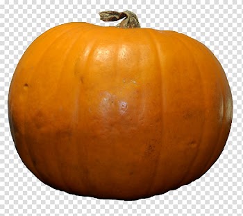 Pumpkin pie Jack-o'-lantern Zucchini, Pumpkin transparent background PNG clipart