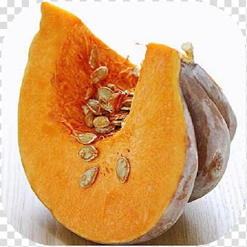 Pumpkin pie Pumpkin bread Cucurbita Pumpkin seed, pumpkin transparent background PNG clipart
