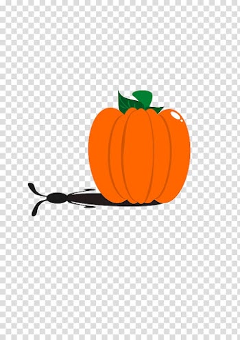 Pumpkin pie , Pumpkin transparent background PNG clipart