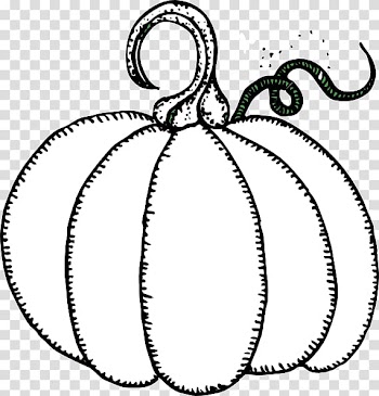 Pumpkin pie Squash Jack-o'-lantern, pumpkin drawing design ideas transparent background PNG clipart