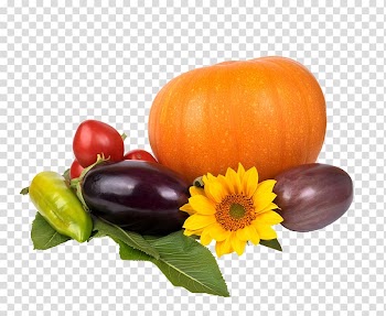 Pumpkin pie Turkey Thanksgiving dinner, vegetables transparent background PNG clipart