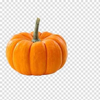 Pumpkin pie Vegetable Field pumpkin Food, pumpkin transparent background PNG clipart