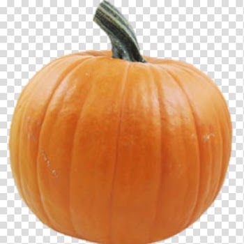 Pumpkin pie Vegetable New Hampshire Pumpkin Festival Pumpkins & squashes, pumpkin transparent background PNG clipart