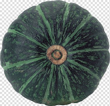 Pumpkin pie Vegetable Squash, Pumpkin transparent background PNG clipart