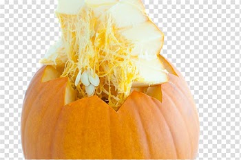 Pumpkin pie Vegetable Zucchini Pumpkin seed, Creative pumpkin Figure transparent background PNG clipart