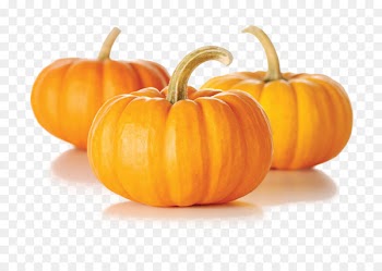 Pumpkin pie Zucchini Kabocha Vegetable - pumpkin 