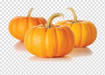 Pumpkin pie Zucchini Kabocha Vegetable, pumpkin transparent background PNG clipart