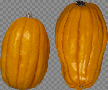Pumpkin PNG Free Download 40 | PNG Images Download | Pumpkin PNG ...
