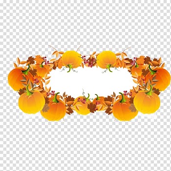 Pumpkin, pumpkin harvest transparent background PNG clipart