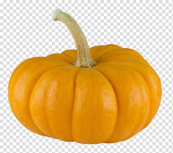 Pumpkin, Pumpkin pie Calabaza, Pumpkin transparent background PNG clipart