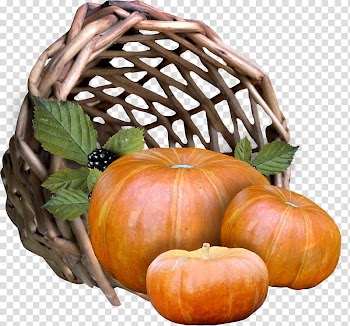 Pumpkin , pumpkin transparent background PNG clipart