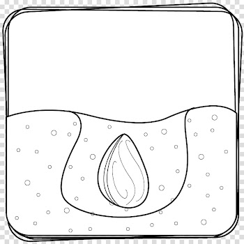 Pumpkin seed Black and white , Free Pumpkin transparent background PNG clipart