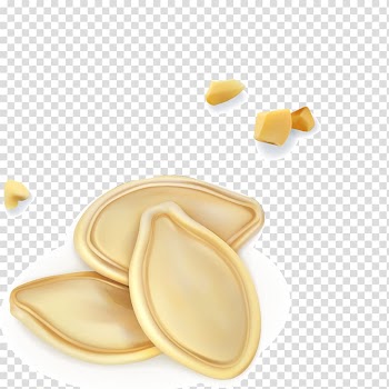 Pumpkin seed Illustration, pumpkin seeds transparent background PNG clipart