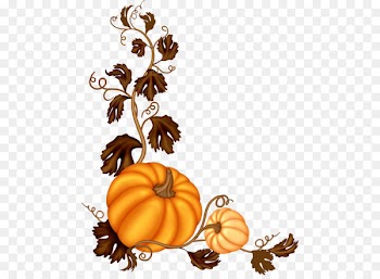 Pumpkin Software Clip art - Decorative pumpkin vine 