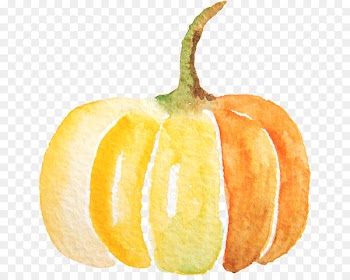 Pumpkin Spice Latte Calabaza - Watercolor pumpkin 