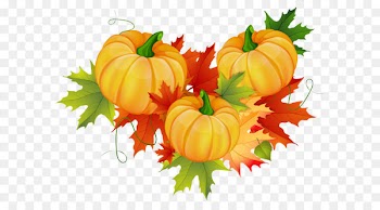 Pumpkin Thanksgiving Clip art - Thanksgiving Pumpkin Decoration PNG Clipart 