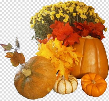 Pumpkin Thanksgiving dinner , Thanks Giving transparent background PNG clipart