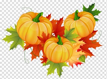 Pumpkin Thanksgiving , pumpkin transparent background PNG clipart