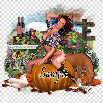 Pumpkin Thanksgiving Recreation, spice transparent background PNG clipart