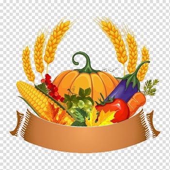Pumpkin Thanksgiving , Thanksgiving transparent background PNG clipart