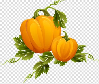, pumpkin transparent background PNG clipart