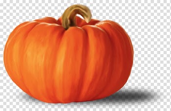 Pumpkin transparent background PNG clipart