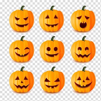 Pumpkin transparent background PNG clipart
