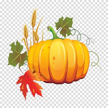 Pumpkin transparent background PNG clipart