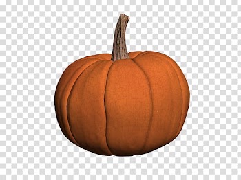 Pumpkin transparent background PNG clipart