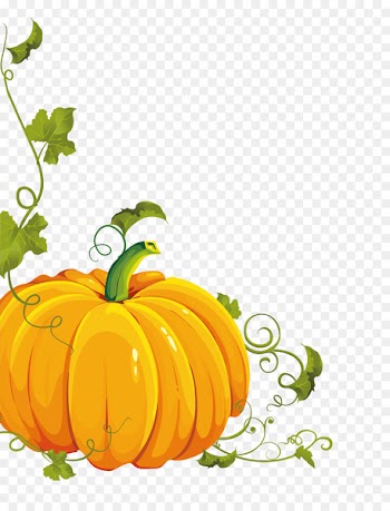 Pumpkin Vector graphics Halloween Clip art Image - kabocha 