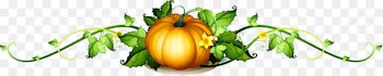 Pumpkin Vine Royalty-free Clip art - pumpkin,vegetables,leaf 