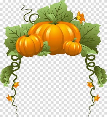 Pumpkin Vine Vegetable, pumpkin transparent background PNG clipart