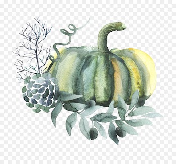 Pumpkin Watercolor painting Vegetable - pumpkin 