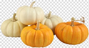 Pumpkin Winter squash Calabaza Gourd Spider flower, pumpkin transparent background PNG clipart