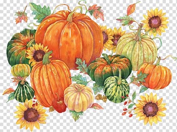 Pumpkin Winter squash Calabaza Vegetarian cuisine Gourd, pumpkin transparent background PNG clipart