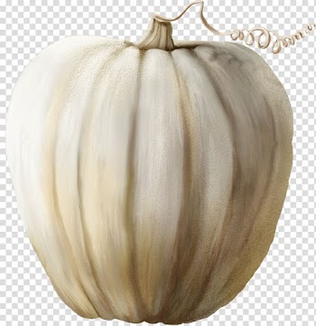 Pumpkin Winter squash Cucurbita, seedlings transparent background PNG clipart