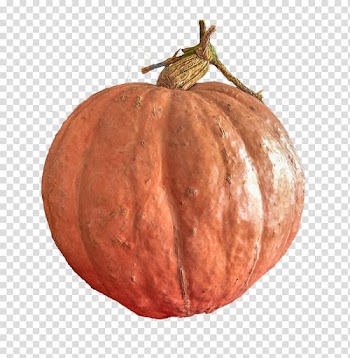 Pumpkin Winter squash Gourd Art Vegetarian cuisine, autumn fat crab transparent background PNG clipart