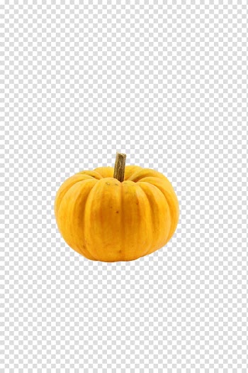 Pumpkin Winter squash Gourd Calabaza Cucurbita, gourd transparent background PNG clipart
