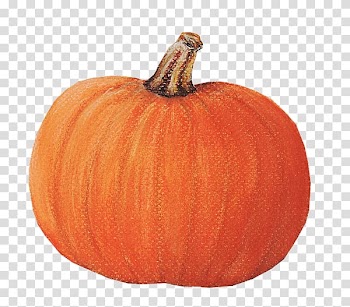 Pumpkin Winter squash Gourd Calabaza Food, pumpkin transparent background PNG clipart